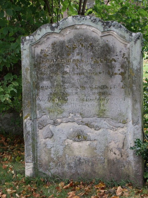 Click to see next photo