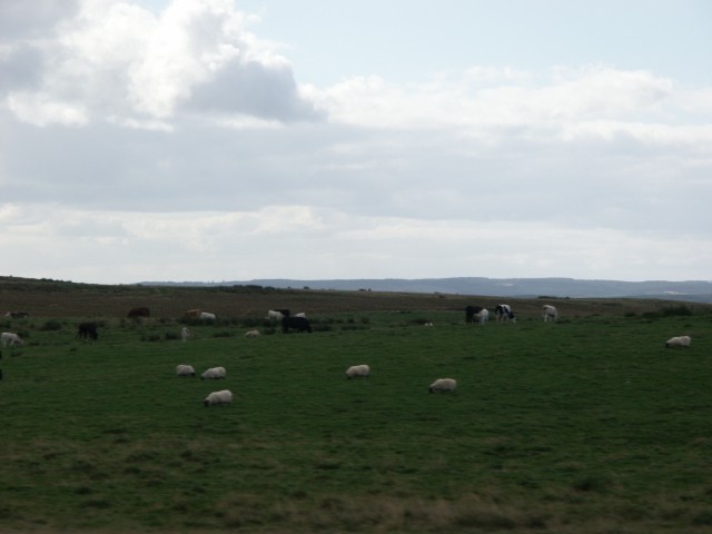 Click to see next photo