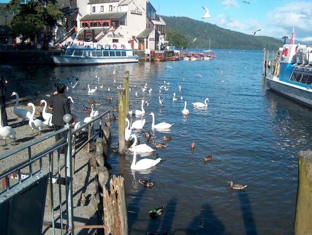 Click to see next photo