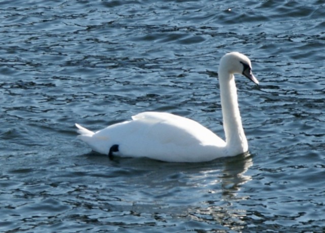 Click to see next photo