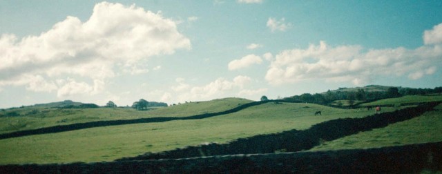 Click to see next photo