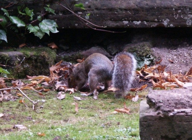 Click to see next photo