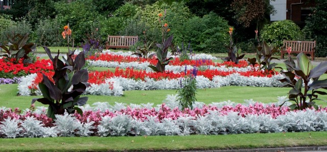 Click to see next photo