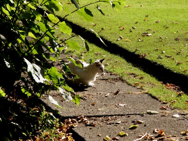 Click to see next photo