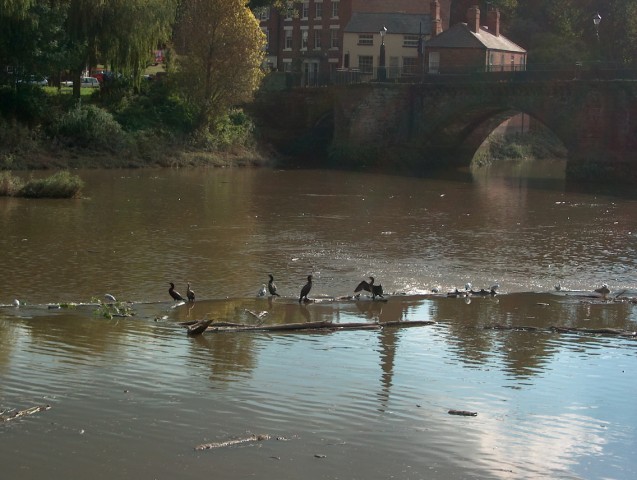 Click to see next photo