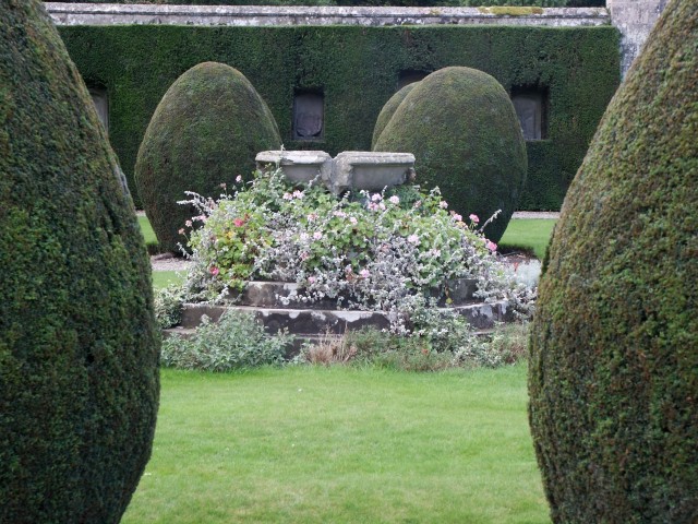 Click to see next photo