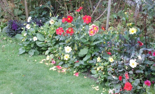 Click to see next photo