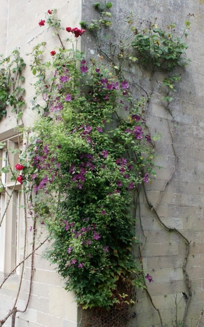 Click to see next photo