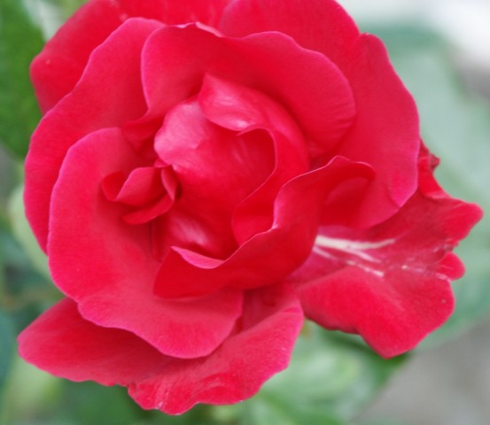 Click to see next photo