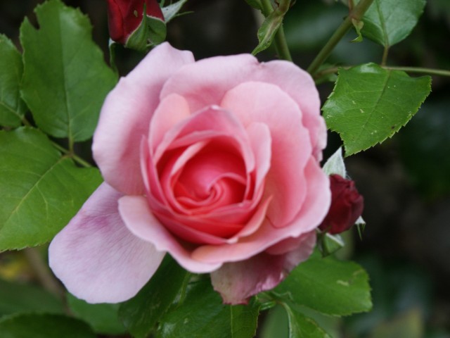 Click to see next photo