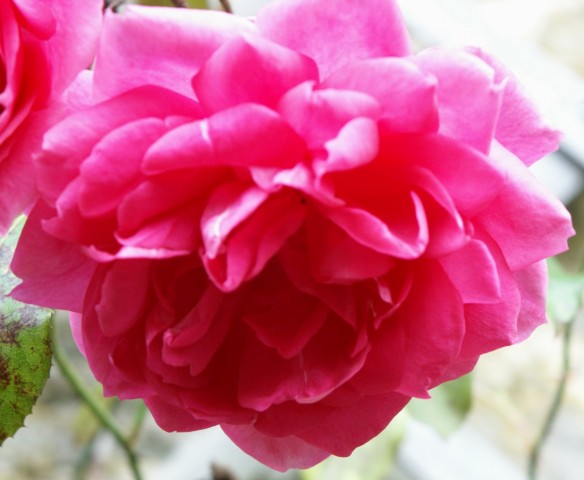 Click to see next photo