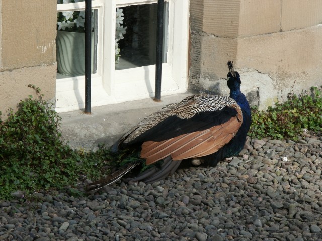 Click to see next photo