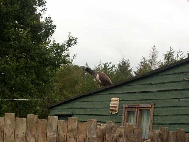 Click to see next photo