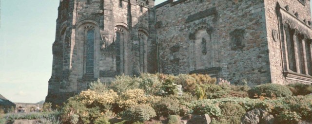 Click to see next photo