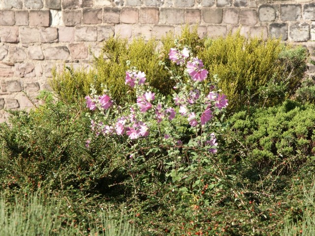 Click to see next photo