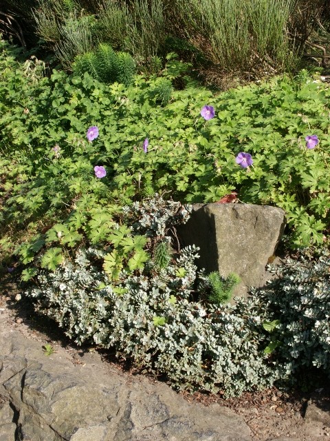 Click to see next photo