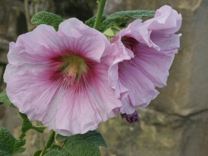 Click to see next photo