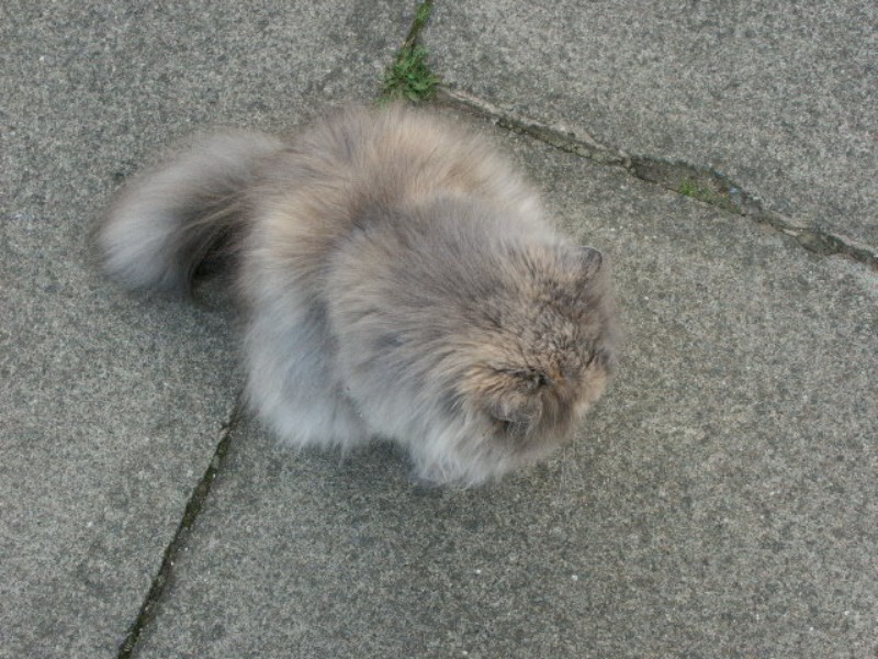 Click to see next photo