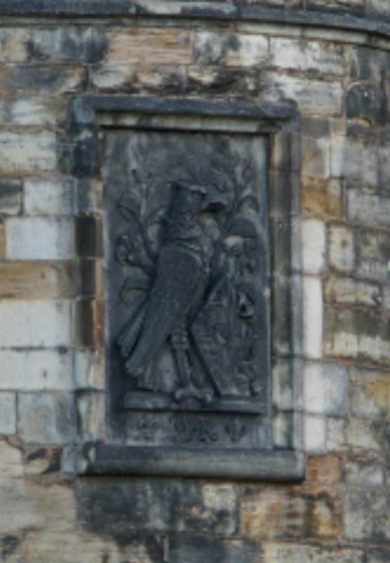 Click to see next photo