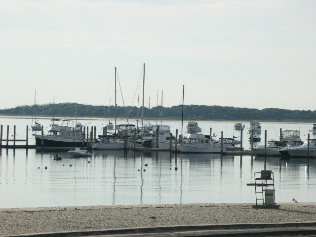 Click to see next photo