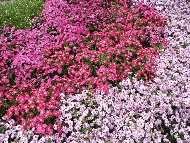 Click to see next photo