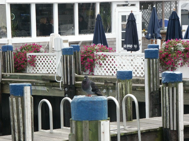 Click to see next photo