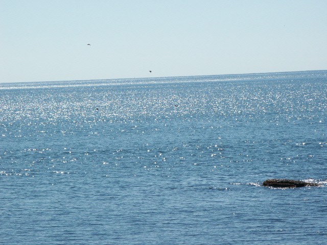 Click to see next photo