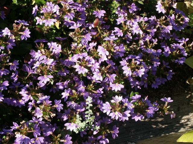 Click to see next photo