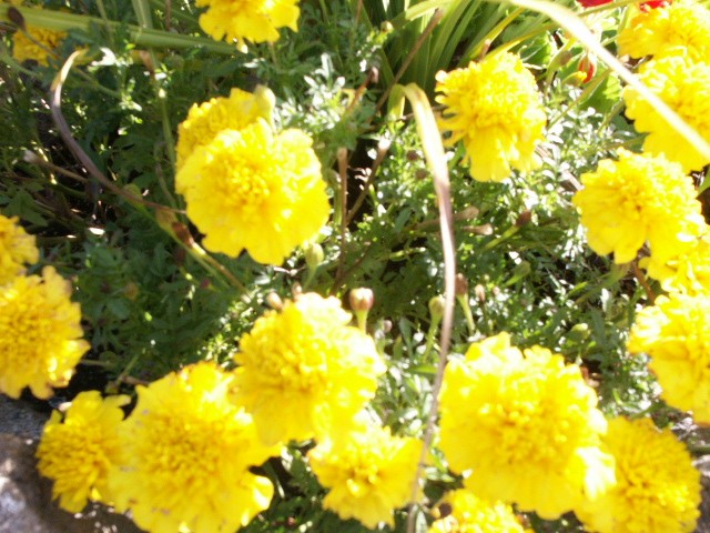 Click to see next photo