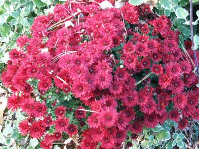 Click to see next photo