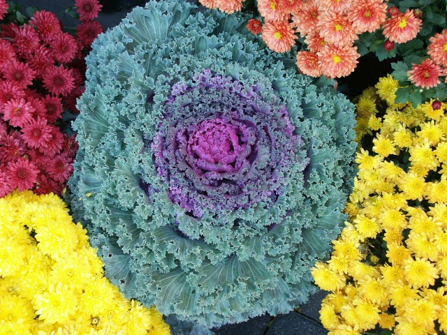 Click to see next photo